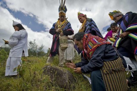 Ayahuasca, silná prírodná medicína (môj príbeh)